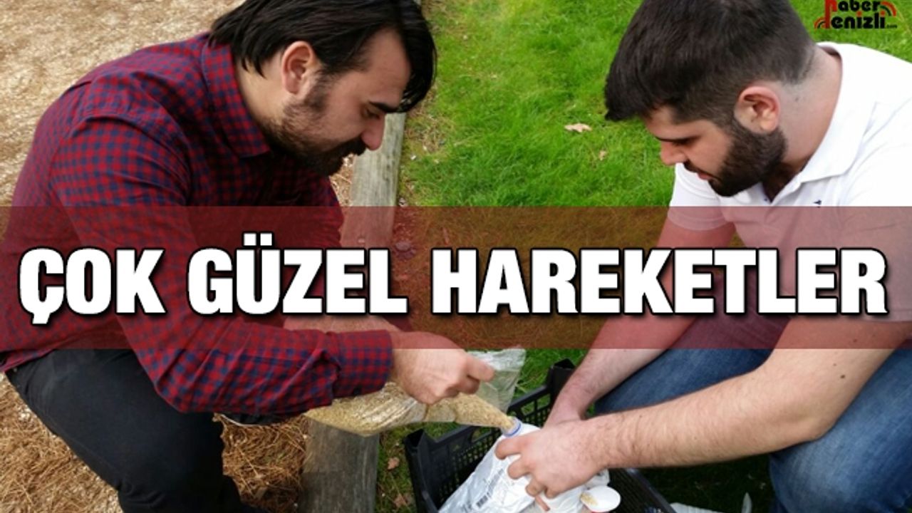 15 Temmuz Şehitleri İçin Kuşlara Yem