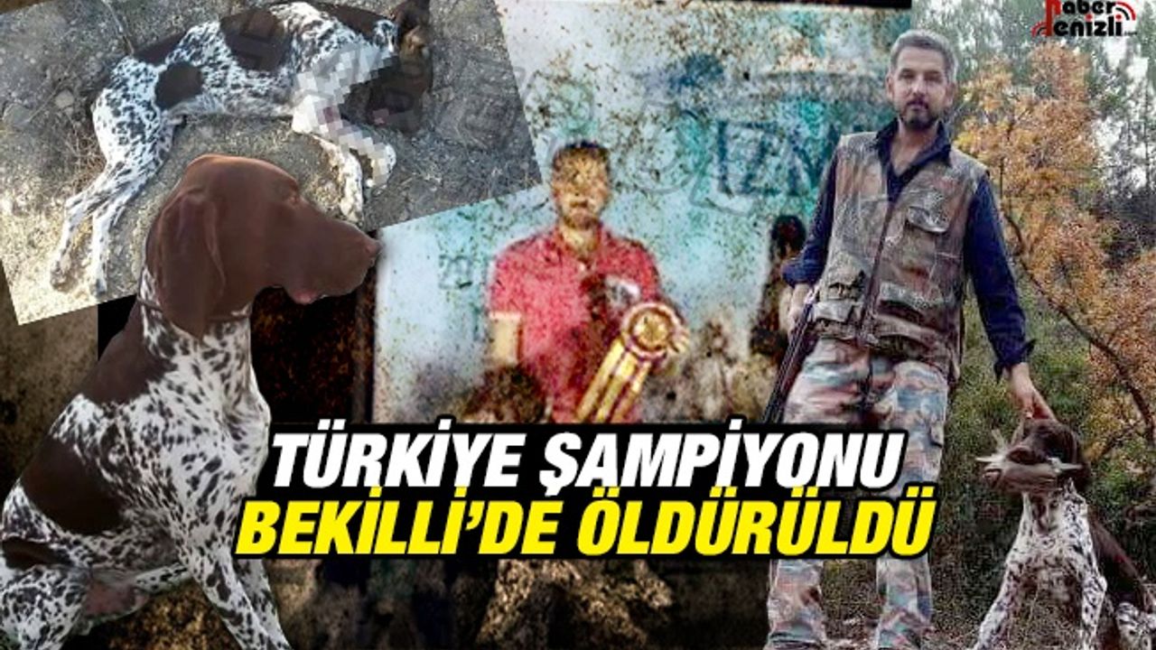 2016 Türkiye Şampiyonu Bekilli'de Öldürüldü