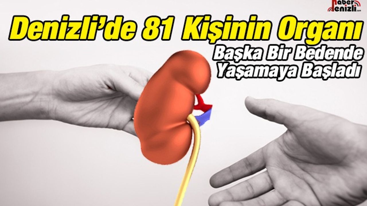 Denizli'de 81 Kişinin Organı Başka Bir Bedende Yaşamaya Başladı
