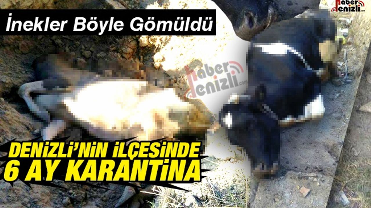 Denizli'nin İlçesinde 6 Ay Karantina