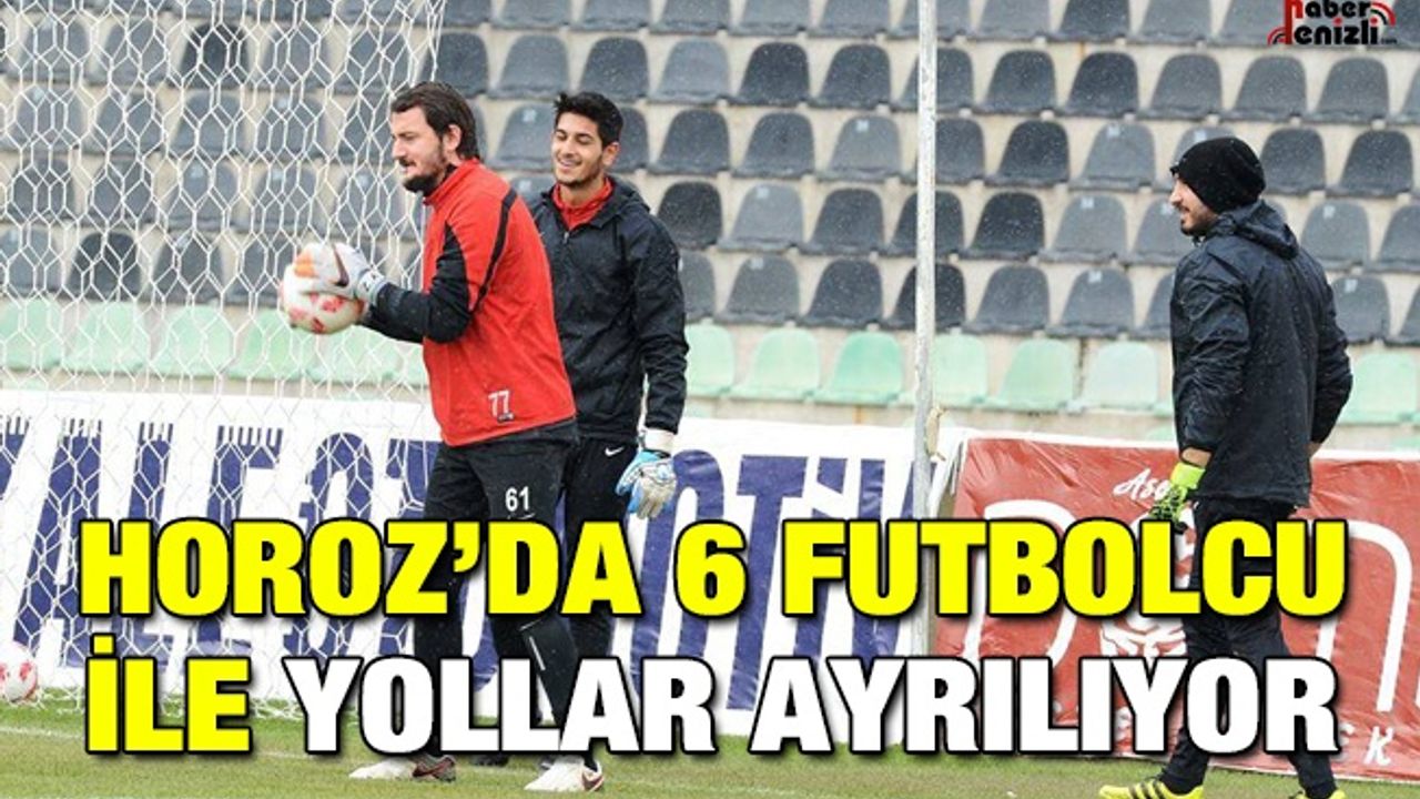 Denizlispor'un Kadrosunda İlk Operasyon