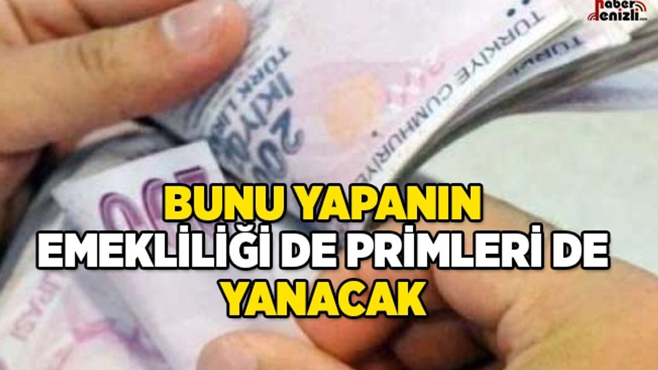 Sahte Sigortalının Emekliliği de Primleri de Yanacak!