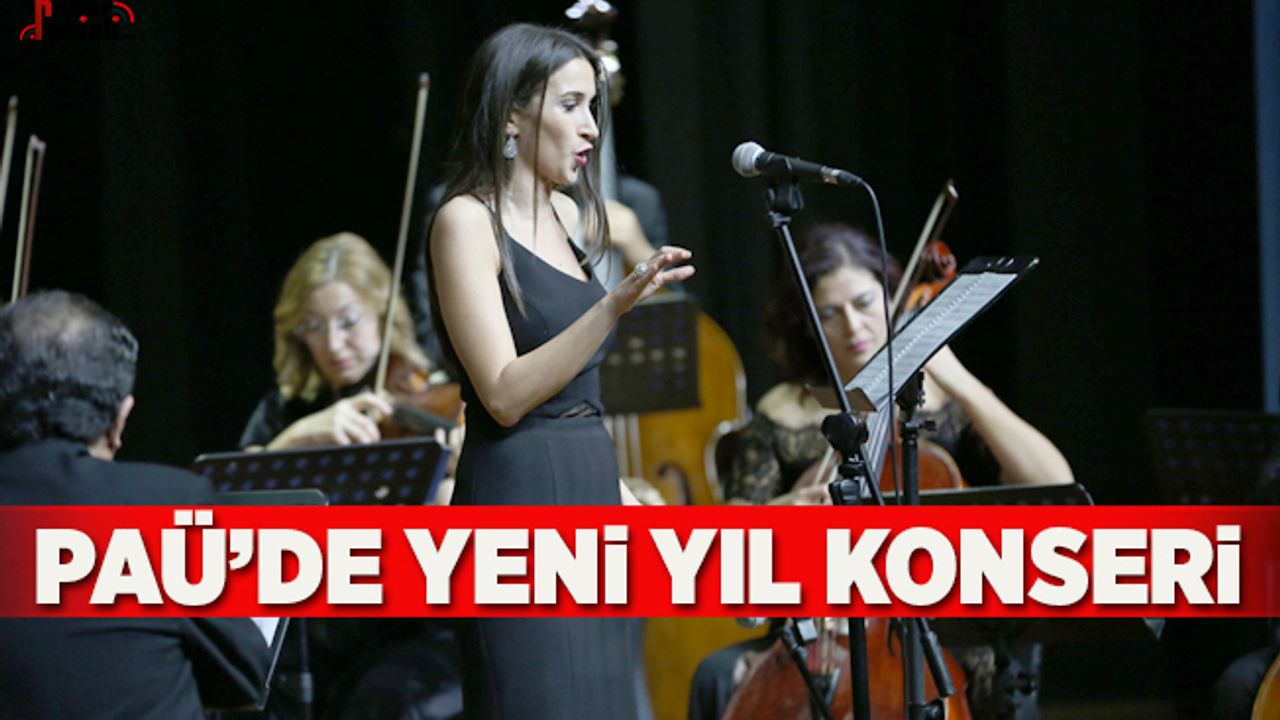 Akademik Oda Orkestrası’ndan Yeni Yıl Konseri