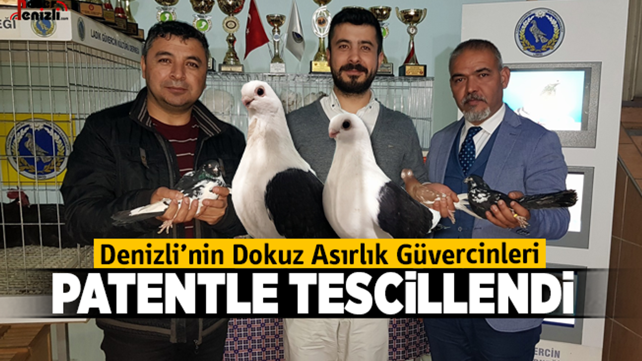 Denizli’nin dokuz asırlık güvercinleri patentle tescillendi
