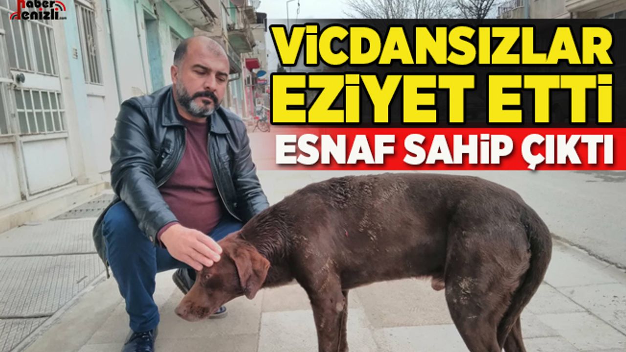 Vicdansızların eziyet ettiği köpeğe esnaf sahip çıktı