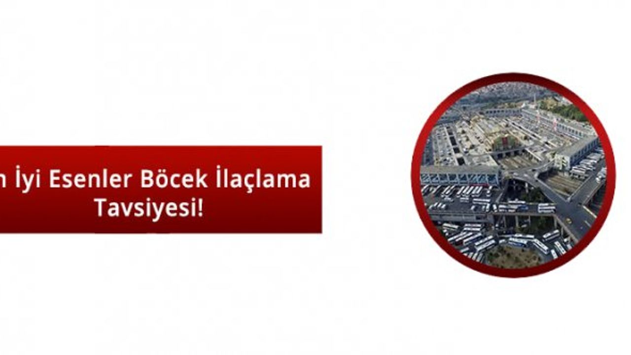 %100 Garantili Esenler Böcek ilaçlama hizmeti veren firmalar |Esenler ilaçlama