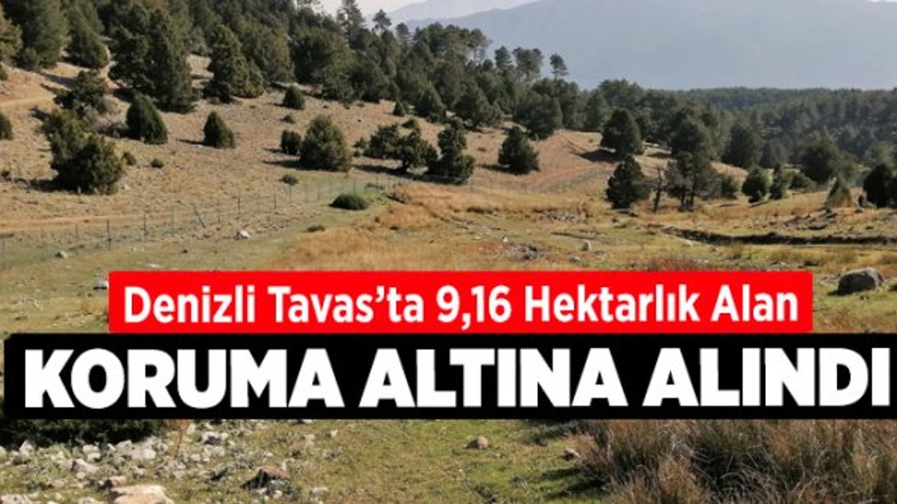 Denizli Tavas'ta 9,16 Hektarlık Alan Koruma Altına Alındı