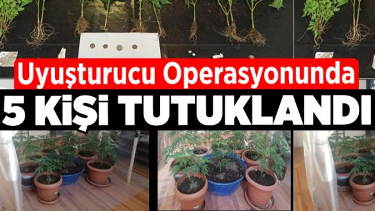 Denizli'de Uyuşturucu Operasyonunda 5 Kişi Tutuklandı