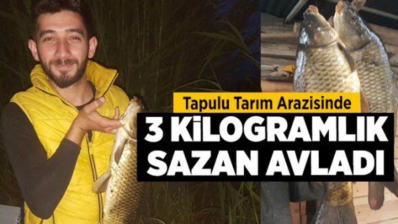Tapulu tarım arazisinde 3 kilogramlık sazan avladı