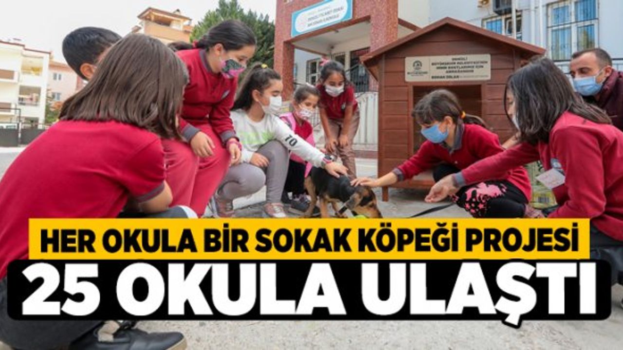 Her Okula Bir Sokak Köpeği Projesi 25 Okula Ulaştı