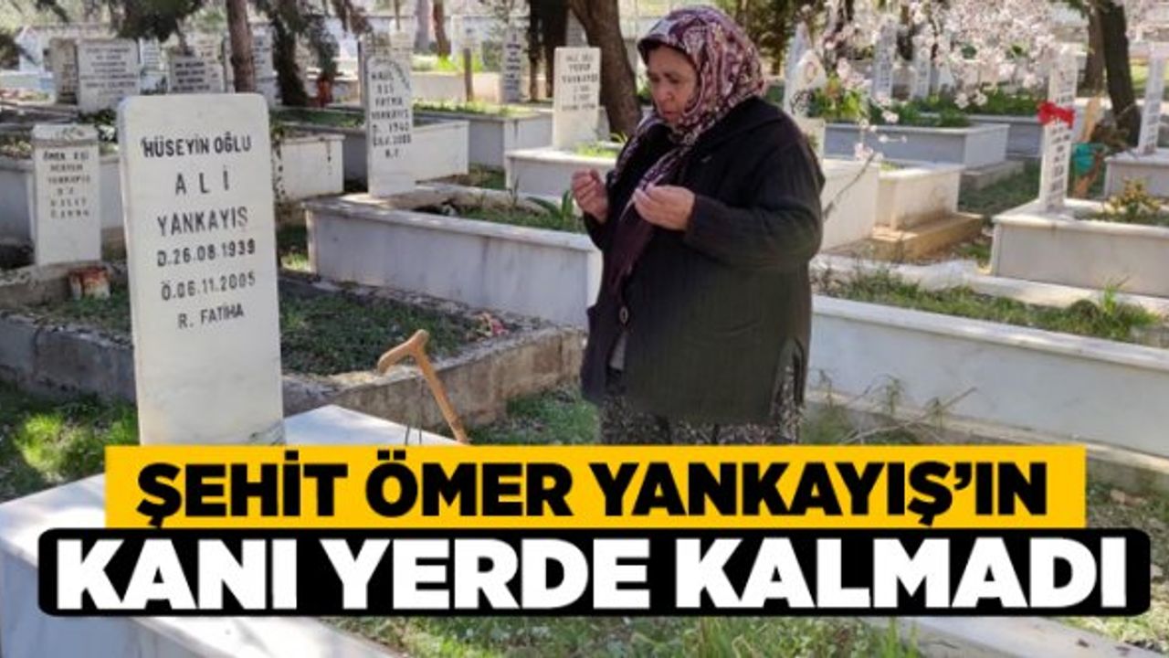 Şehit Ömer Yankayış’ın Kanı Yerde Kalmadı