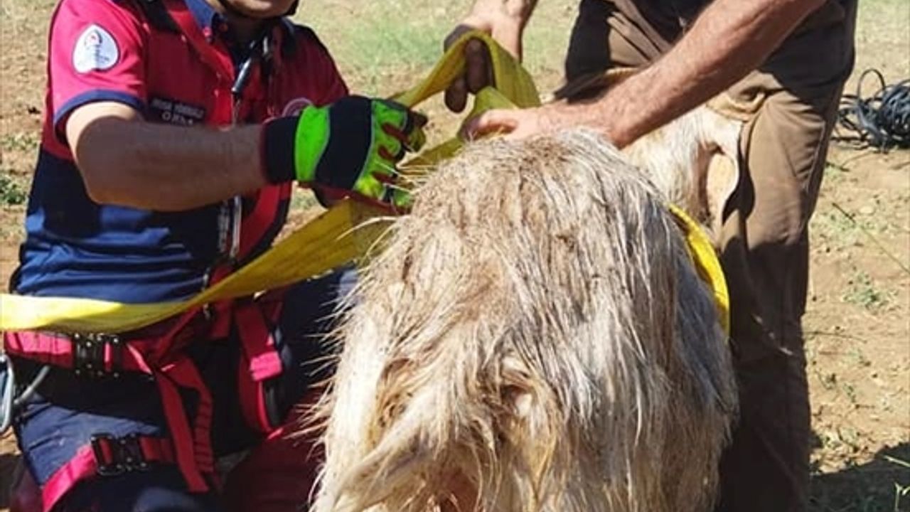 Denizli'de kuyuya düşen keçiyi itfaiye kurtardı