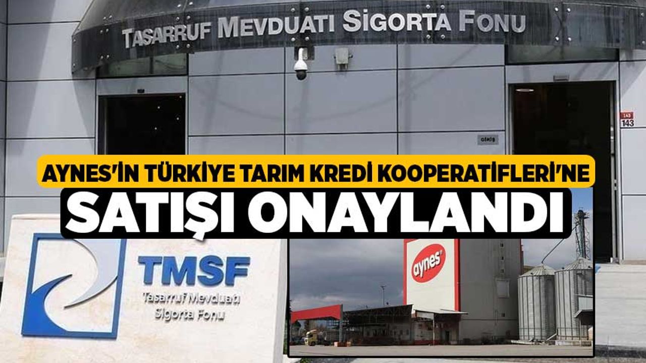 Aynes'in Türkiye Tarım Kredi Kooperatifleri'ne satışı onaylandı