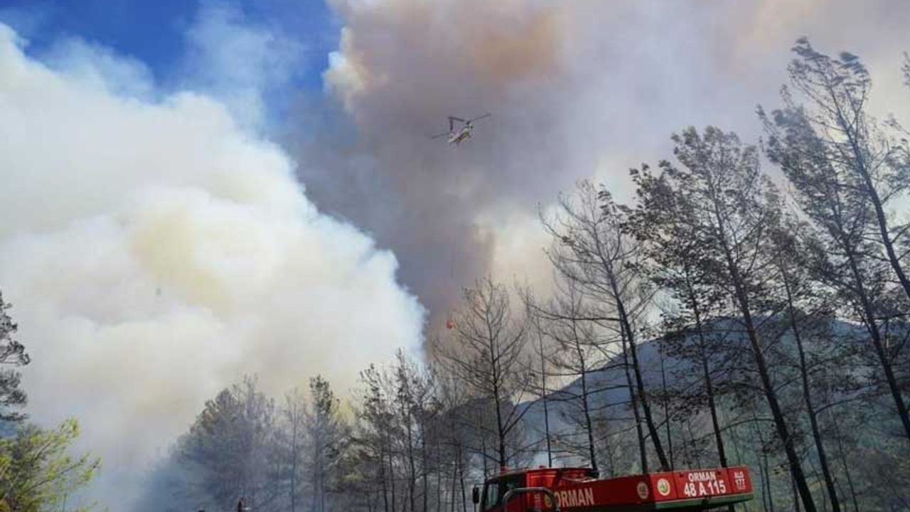 Bakan Kirişci; “Marmaris’teki yangında 500 hektar alan zarar gördü”