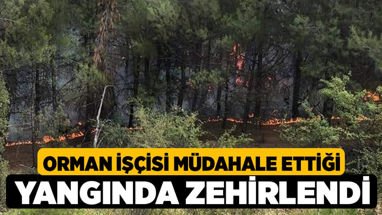 Orman İşçisi Müdahale Ettiği Yangında Zehirlendi