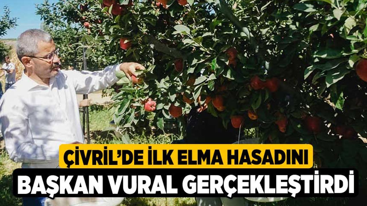 Çivril’de ilk elma hasadını Başkan Vural gerçekleştirdi