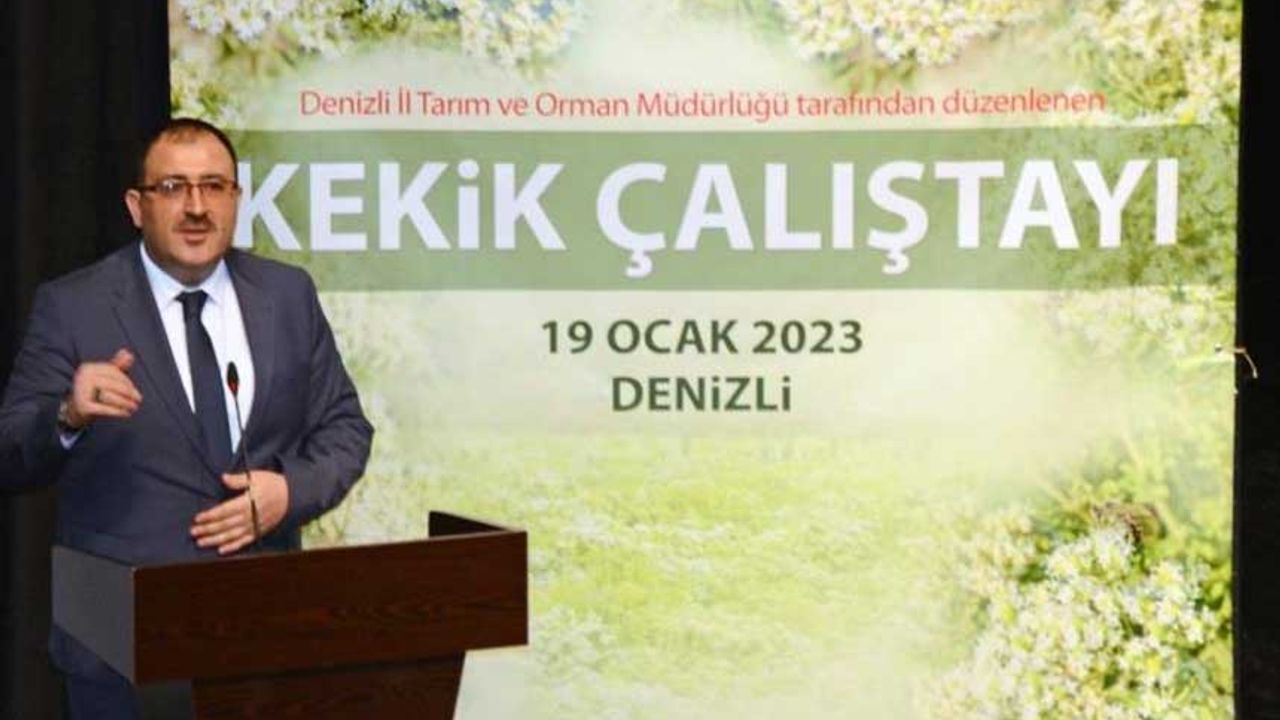 Türkiye’nin kekik deposu Denizli’de sektörün geleceği konuşuldu