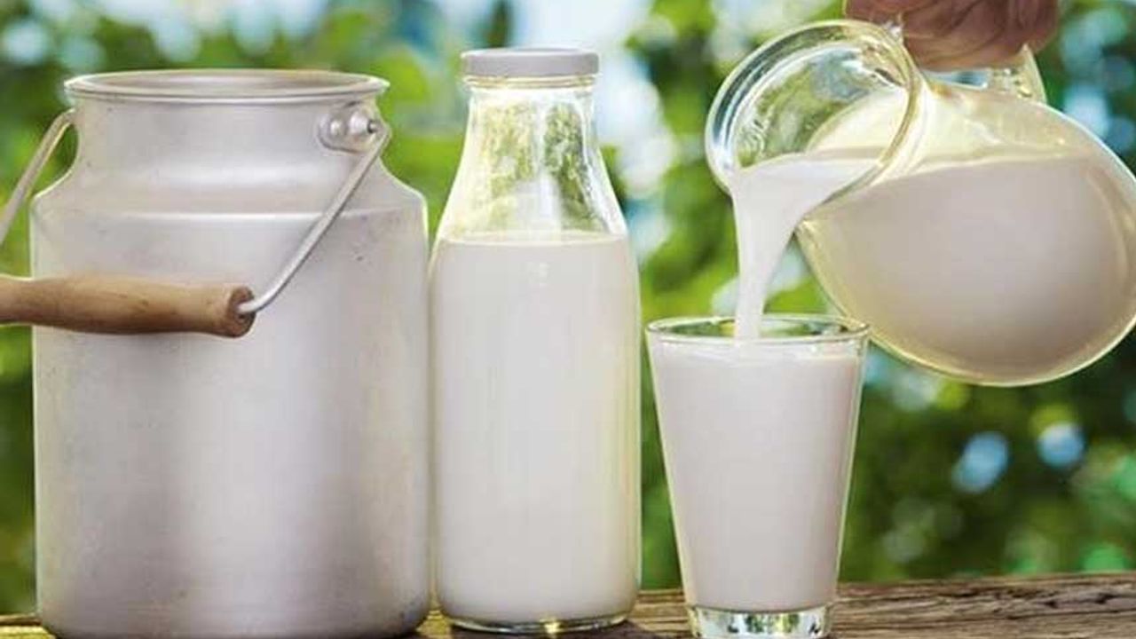 Çiğ süt desteği ödemelerine yönelik esaslar belli oldu