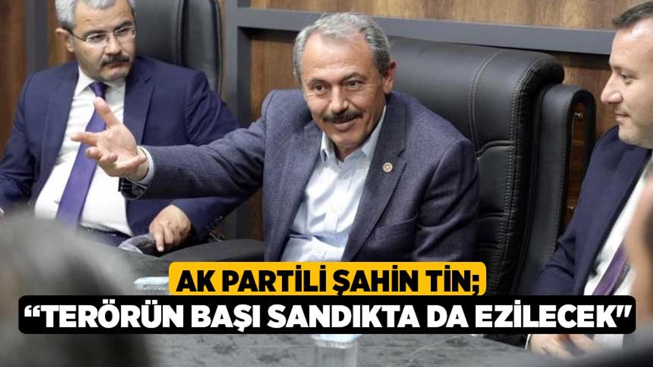 AK Partili Şahin Tin; “Terörün başı sandıkta da ezilecek"