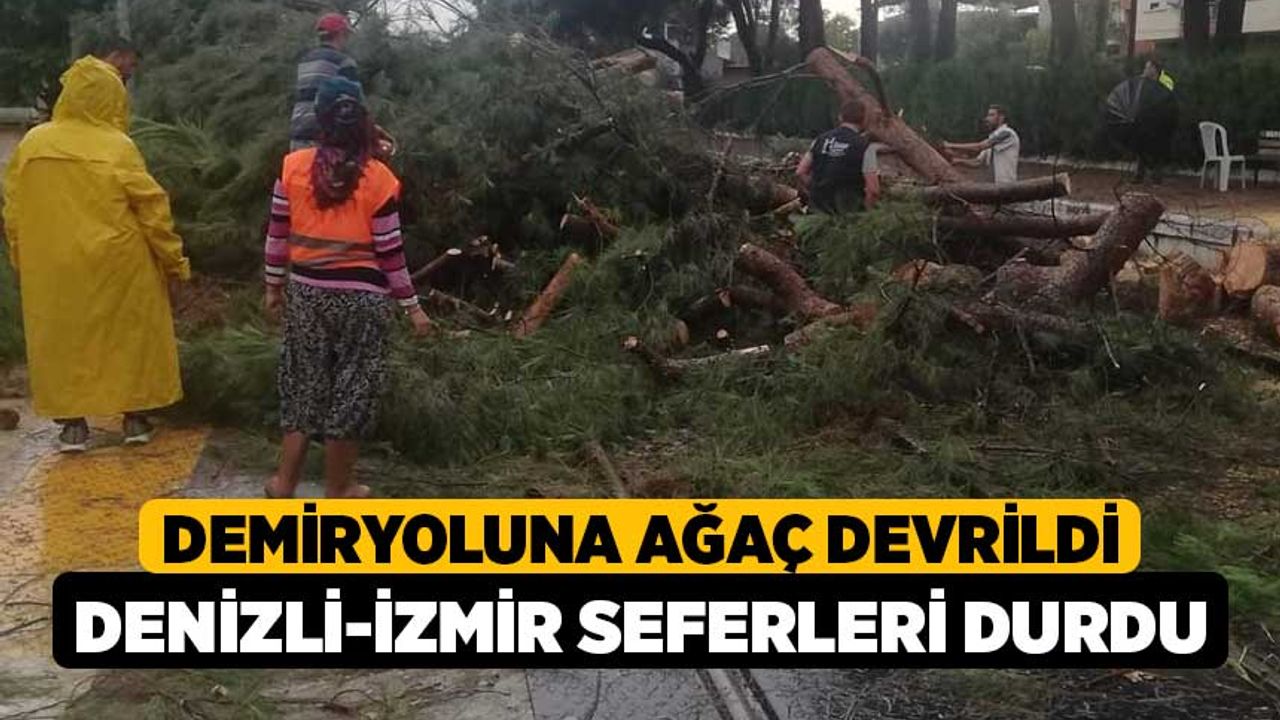 Demiryoluna ağaç devrildi Denizli-İzmir seferleri durdu