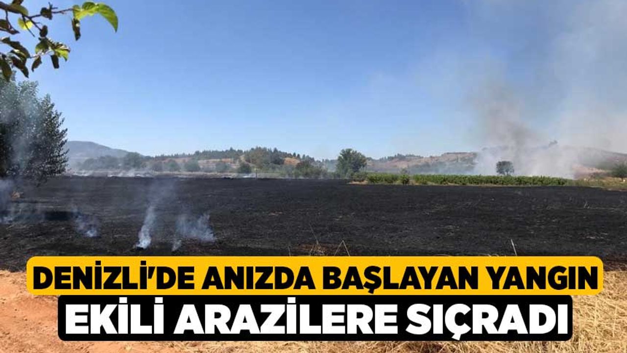 Denizli'de Anızda başlayan yangın ekili arazilere sıçradı