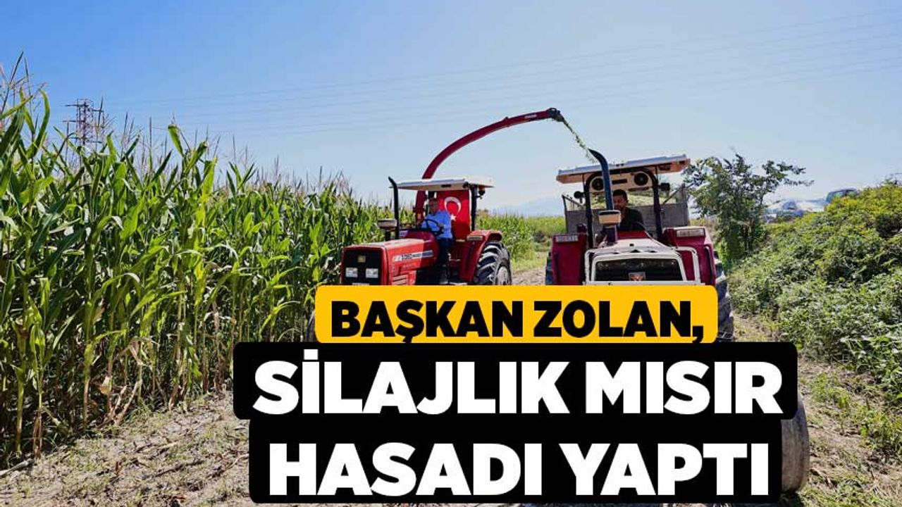 Başkan Zolan, silajlık mısır hasadı yaptı