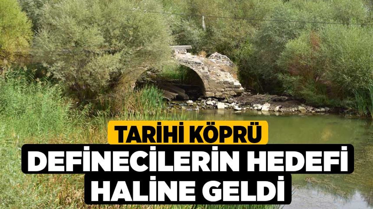Tarihi Köprü Definecilerin Hedefi Haline Geldi