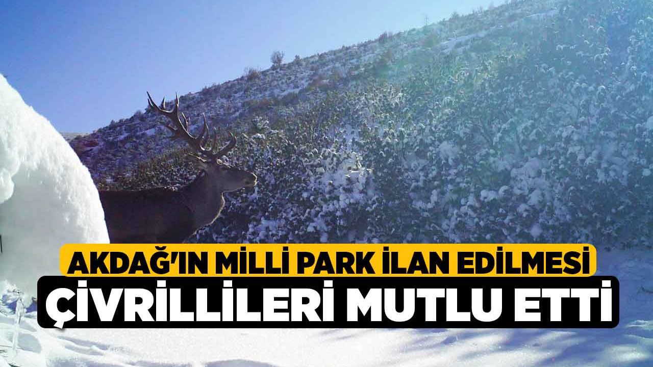 Akdağ'ın Milli Park ilan edilmesi Çivrillileri mutlu etti