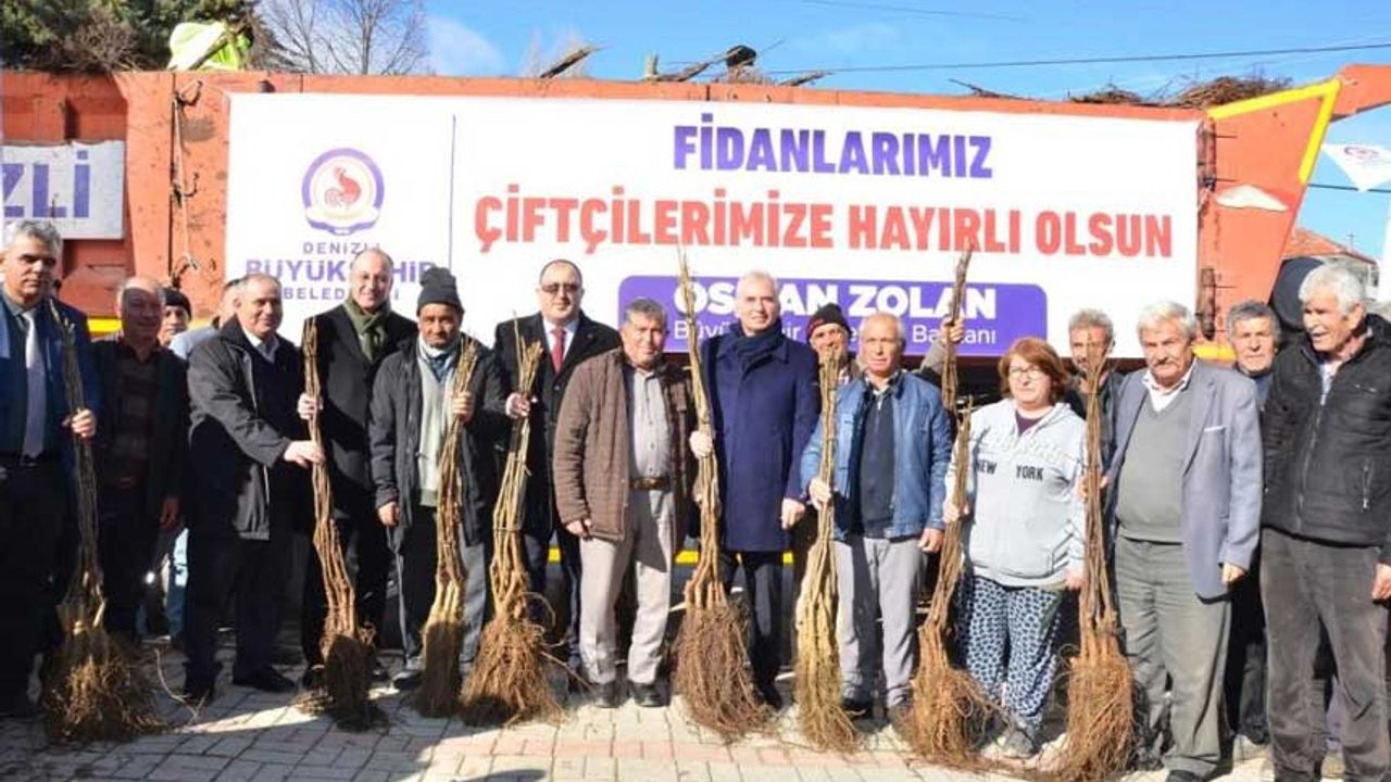 Denizli, Türkiye'nin ceviz üretim merkezi olma yolunda ilerliyor