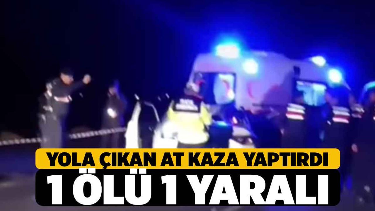Yola Çıkan At Kaza Yaptırdı 1 Ölü 1 Yaralı