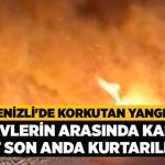 Denizli'de Korkutan Yangın, Alevlerin Arasında Kalan At Son Anda Kurtarıldı!