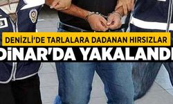 Denizli'de Tarlalara Dadanan Hırsızlar Dinar'da Yakalandı