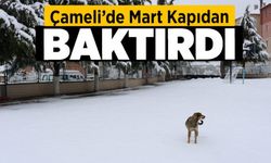 Çameli’de Mart kapıdan baktırdı