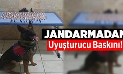 Jandarmadan Uyuşturucu Baskını!