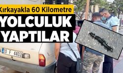 Kırkayakla 60 kilometre yolculuk yaptılar