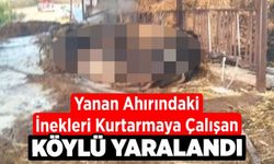 Yanan ahırındaki inekleri kurtarmaya çalışan köylü yaralandı