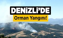 Denizli'de Orman Yangını