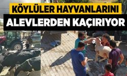 Köylüler Hayvanlarını Alevlerden Kaçırıyor