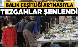 Balık Çeşitliği Artmasıyla Tezgahlar Şenlendi