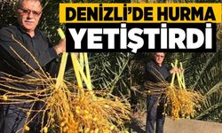 Denizli'de Hurma Yetiştirdi