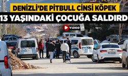 Denizli'de Pitbull Cinsi Köpek 13 Yaşındaki Çocuğa Saldırdı ...