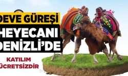 Deve Güreşi Heyecanı Denizli’de