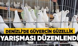 Denizli’de Güvercin Güzellik Yarışması Düzenlendi