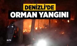 Denizli’de Orman Yangını