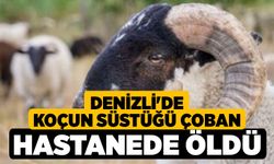 Denizli'de Koçun Süstüğü Çoban Hastanede Öldü