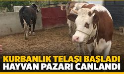 Denizli'de Kurbanlıklar Alıcılarını Bekliyor