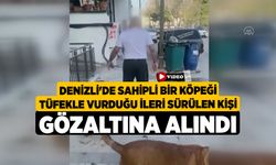 Denizli'de Sahipli Bir Köpeği Tüfekle Vurduğu İleri Sürülen Kişi Gözaltına Alındı