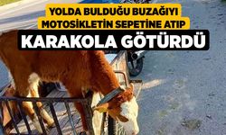 Yolda Bulduğu Buzağıyı Motosikletiyle Karakola Götürdü