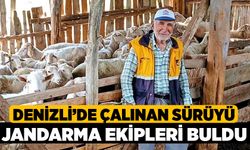 Denizli’de Çalınan Sürüyü Jandarma Ekipleri Buldu