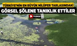 Türkiye’nin En Büyük Nilüfer Tarlasındaki Görsel Şölene Tanıklık Ettiler